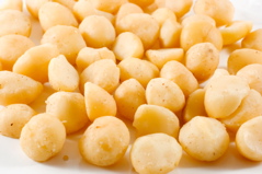 Macadamia Nuts